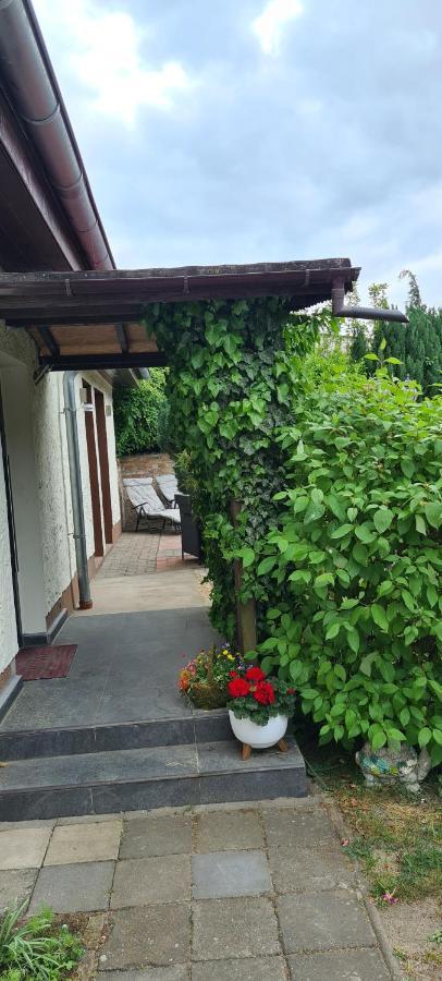 Ferienwohnung Hampel Altglietzen Bagian luar foto